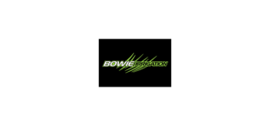 Bowie Irrigation